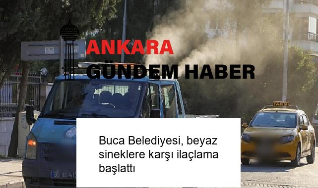 Buca Belediyesi, beyaz sineklere karşı ilaçlama başlattı