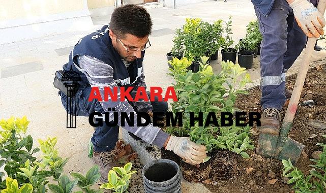 Büyükşehir’den Ulaşlı Camii’ne estetik meydan