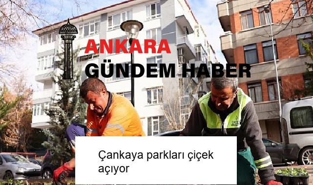 Çankaya parkları çiçek açıyor