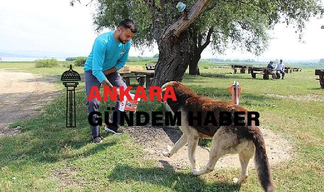 Can dostlar unutulmuyor