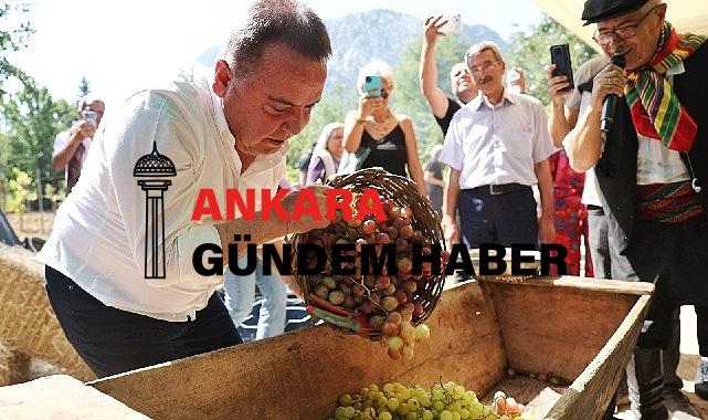 Antalya Gastronomi Festivali’nin İkinci Gününde Mor Üzüm Hasadı