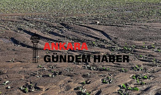 TEMA Vakfı: Toprağı korumak hepimizin görevi, Türkiye Çöl Olmasın!