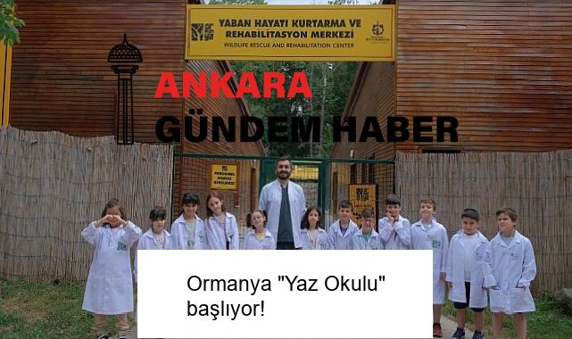 Ormanya “Yaz Okulu” başlıyor!