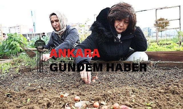 Tarımda mahalle seferberliği bu bostanlar halkın