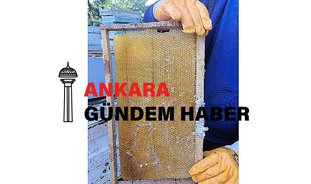 Büyükşehir 202 Bin Petek Şokladı