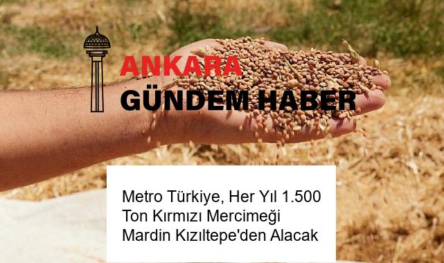 Metro Türkiye, Her Yıl 1.500 Ton Kırmızı Mercimeği Mardin Kızıltepe’den Alacak