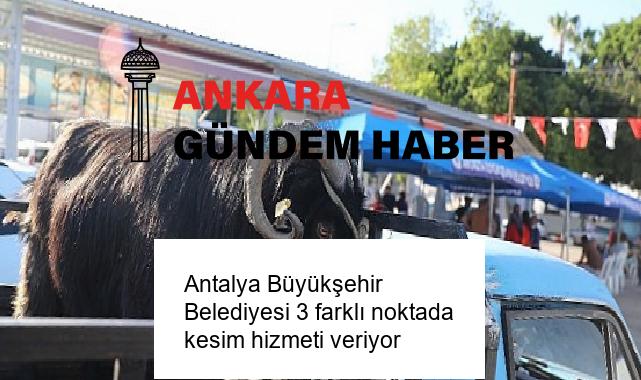 Antalya Büyükşehir Belediyesi 3 farklı noktada kesim hizmeti veriyor