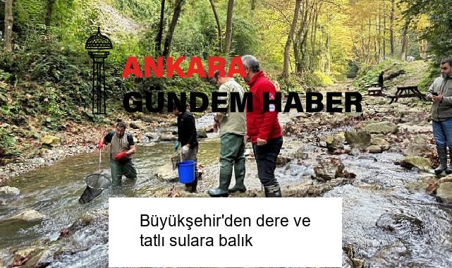 Büyükşehir’den dere ve tatlı sulara balık