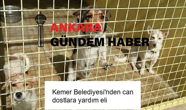 Kemer Belediyesi’nden can dostlara yardım eli