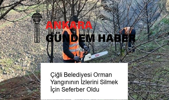 Çiğli Belediyesi Orman Yangınının İzlerini Silmek İçin Seferber Oldu