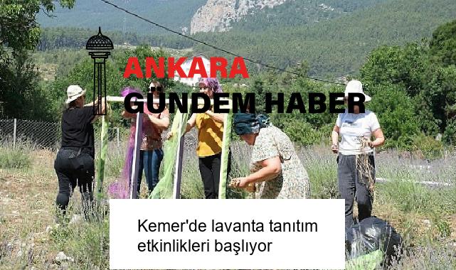 Kemer’de lavanta tanıtım etkinlikleri başlıyor