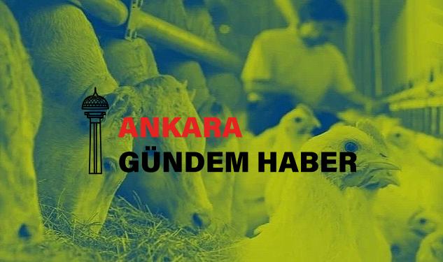 Hayvan Beslemenin Global Başkanı Nutreco, 2022 Sürdürülebilirlik Raporu’nu Yayınladı