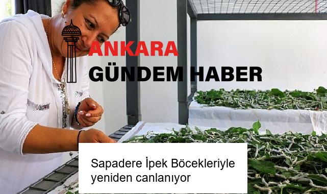 Sapadere İpek Böcekleriyle yeniden canlanıyor