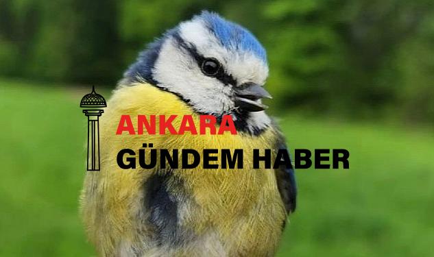 Ormanya Kuş Halkalama İstasyonu kuruldu