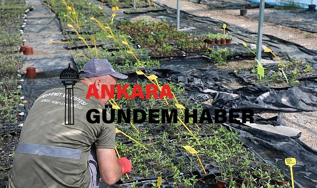 Edremit Belediyesi’nin CET Tohumu projesi büyüyor