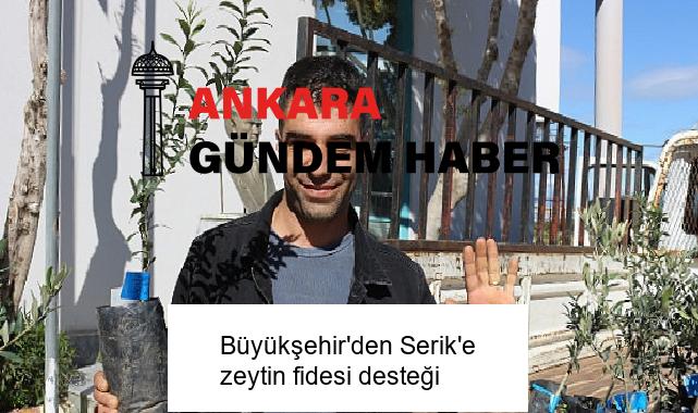 Büyükşehir’den Serik’e zeytin fidesi desteği