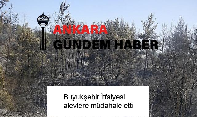 Büyükşehir İtfaiyesi alevlere müdahale etti