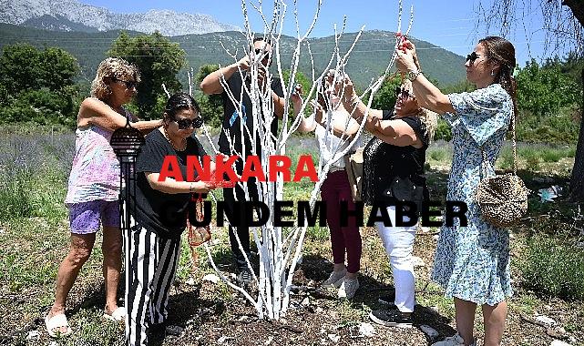 Kemer’de “Mor turizm” başlıyor