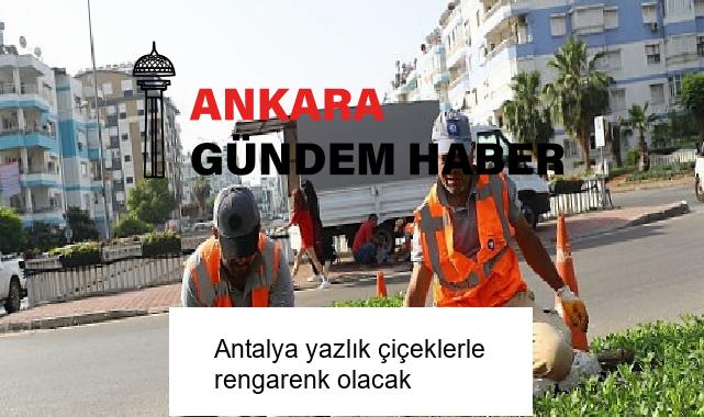 Antalya yazlık çiçeklerle rengarenk olacak