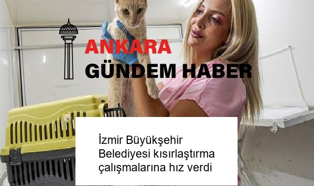 İzmir Büyükşehir Belediyesi kısırlaştırma çalışmalarına hız verdi