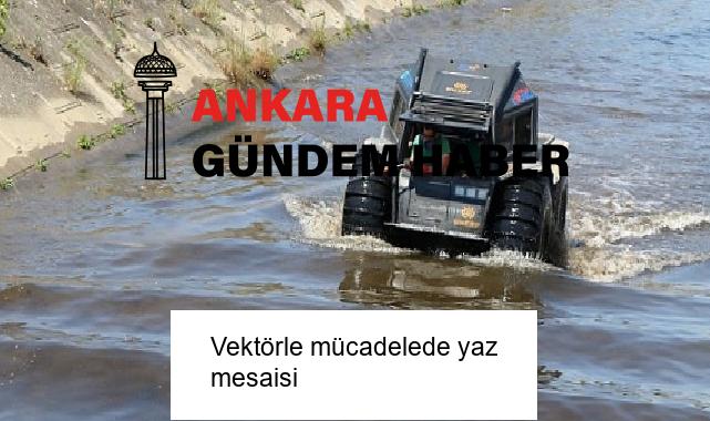 Vektörle mücadelede yaz mesaisi