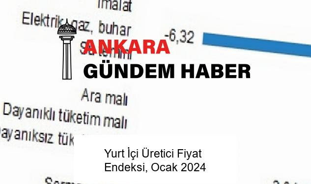 Yurt İçi Üretici Fiyat Endeksi, Ocak 2024