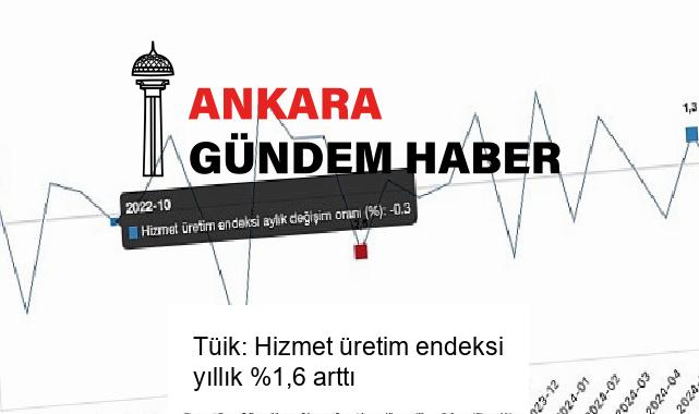 Tüik: Hizmet üretim endeksi yıllık %1,6 arttı