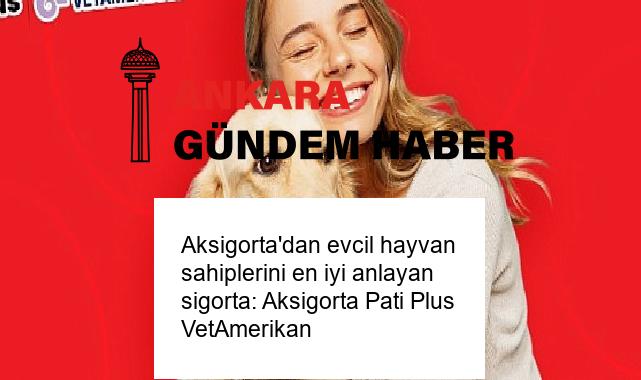 Aksigorta’dan evcil hayvan sahiplerini en iyi anlayan sigorta: Aksigorta Pati Plus VetAmerikan