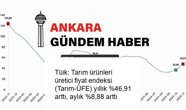 Tüik: Tarım ürünleri üretici fiyat endeksi (Tarım-ÜFE) yıllık %46,91 arttı, aylık %8,88 arttı
