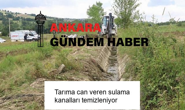 Tarıma can veren sulama kanalları temizleniyor