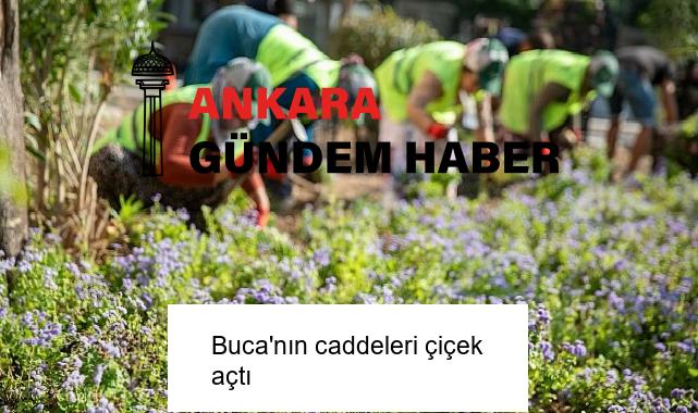 Buca’nın caddeleri çiçek açtı