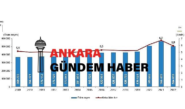 Mevt sayısı 2022 yılında 504 bin 839 oldu