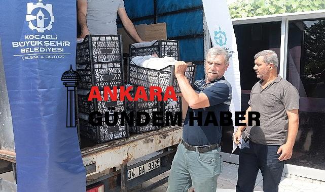 Kocaeli’de üreticilere 118 bin çilek fidesi dağıtıldı