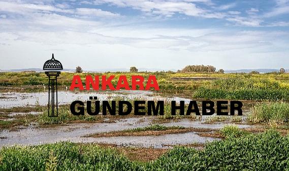 Türkiye ve Slovenya’da kuraklık ve sulak alanlar için ortak çalışma başlıyor.