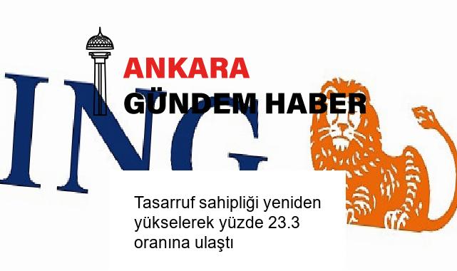 Tasarruf sahipliği yeniden yükselerek yüzde 23.3 oranına ulaştı