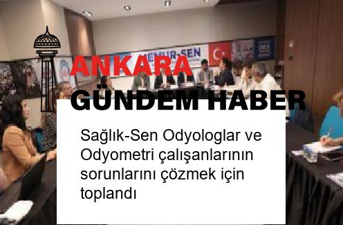 Sağlık-Sen Odyologlar ve Odyometri çalışanlarının sorunlarını çözmek için toplandı