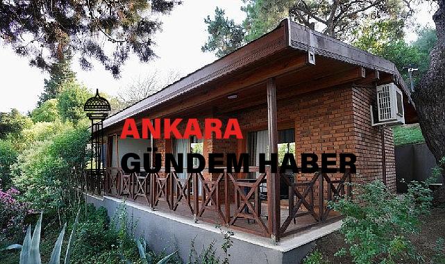 İBB, Orman Bakanlığı’ndan satın aldı