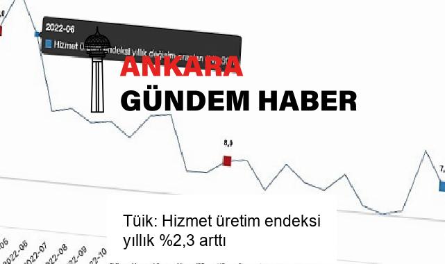 Tüik: Hizmet üretim endeksi yıllık %2,3 arttı