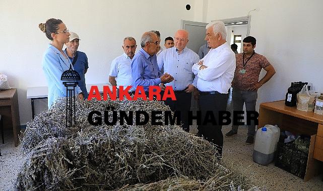 Muğla’da Büyükşehir Belediyesi’nin Tarımsal Güçbirliği Projesi Üreticiye Kazandırıyor