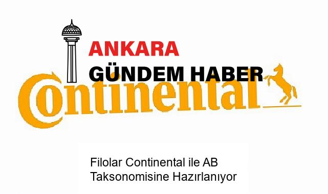 Filolar Continental ile AB Taksonomisine Hazırlanıyor