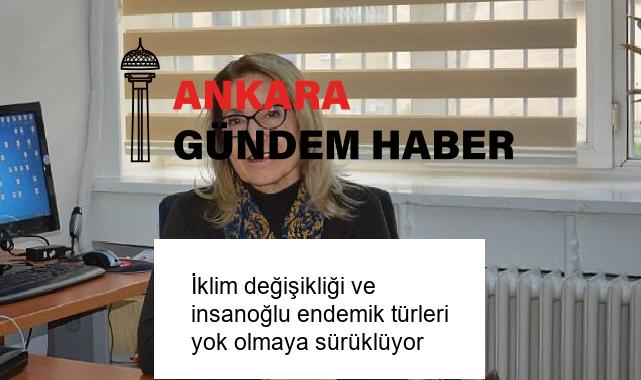 İklim değişikliği ve insanoğlu endemik türleri yok olmaya sürüklüyor