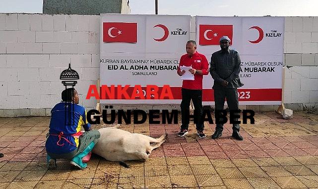 Türk Kızılay Kurban Kısımlarını Başlattı
