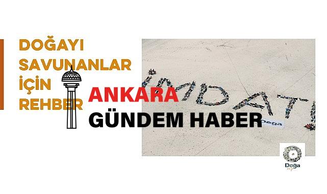 Doğa Derneği ‘Doğayı Savunanlar için Savunuculuk Rehberi’ Yayımladı.