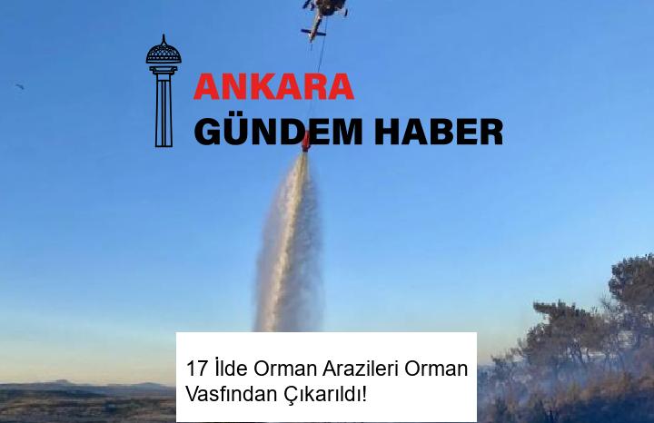 17 İlde Orman Arazileri Orman Vasfından Çıkarıldı! 