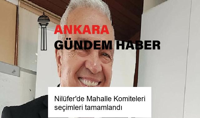 Nilüfer’de Mahalle Komiteleri seçimleri tamamlandı