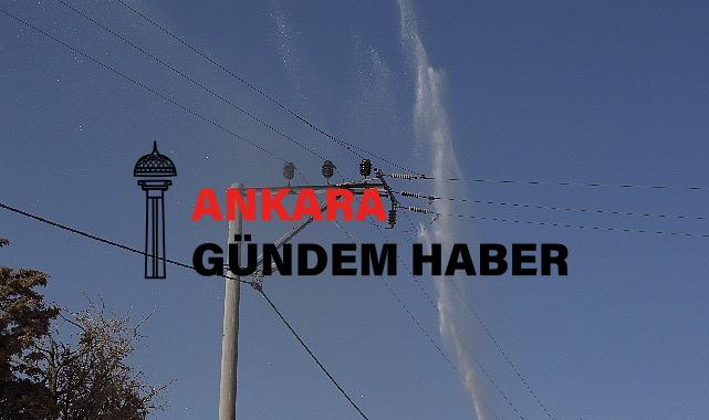 Elektrik Hatlarında Temizlik Zamanı