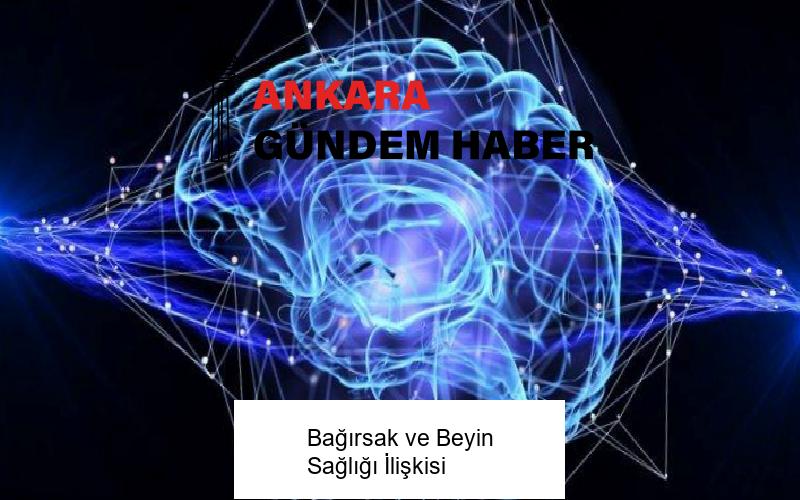 Bağırsak ve Beyin Sağlığı İlişkisi