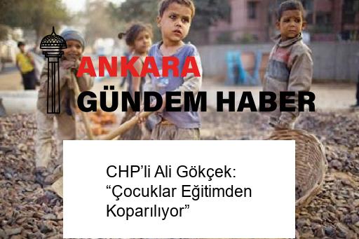 CHP’li Ali Gökçek: “Çocuklar Eğitimden Koparılıyor”