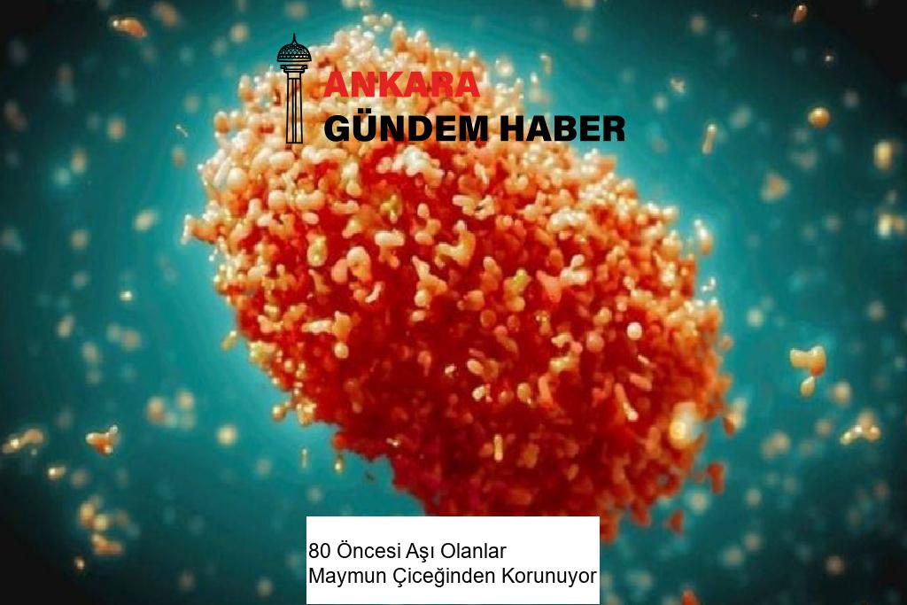 80 Öncesi Aşı Olanlar Maymun Çiceğinden Korunuyor