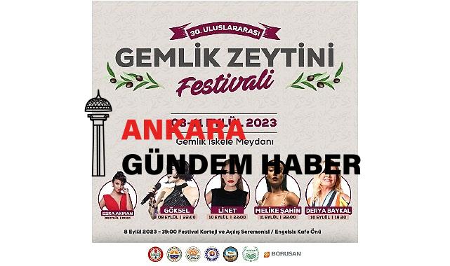 Gemlik’te zeytin festivali dolu dolu geçecek